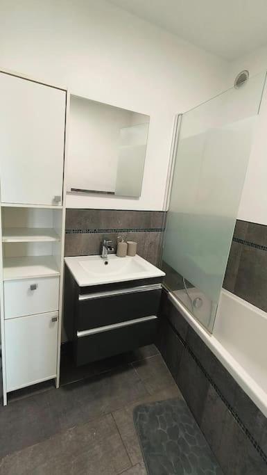 Lumineux Appartement Argenteuil